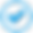 check-blue.png